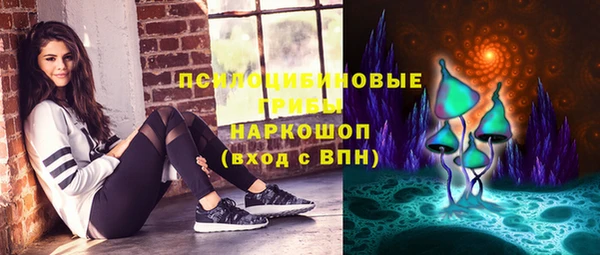 прущий лед Алзамай