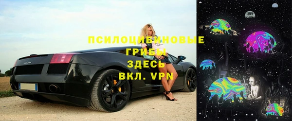 прущий лед Алзамай