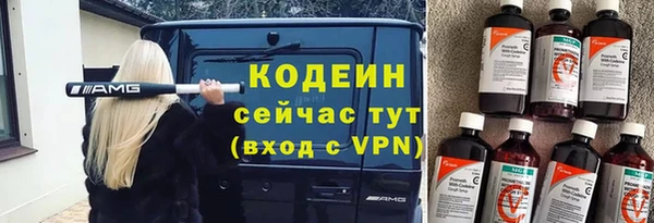 прущий лед Алзамай